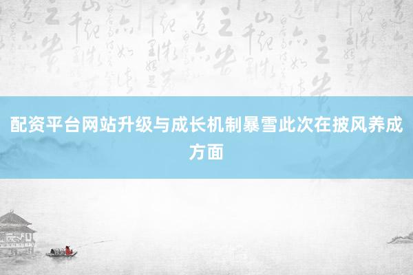 配资平台网站升级与成长机制暴雪此次在披风养成方面