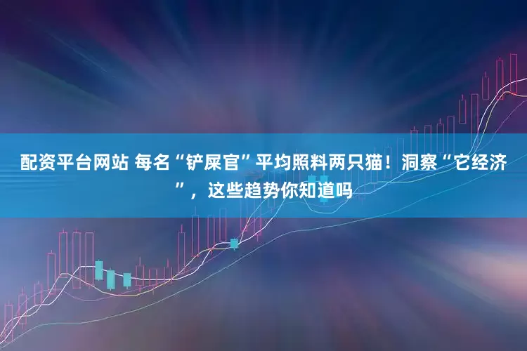 配资平台网站 每名“铲屎官”平均照料两只猫！洞察“它经济”，这些趋势你知道吗