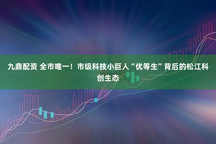 九鼎配资 全市唯一！市级科技小巨人“优等生”背后的松江科创生态