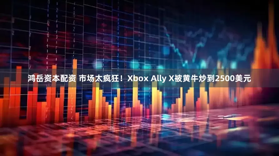 鸿岳资本配资 市场太疯狂！Xbox Ally X被黄牛炒到2500美元